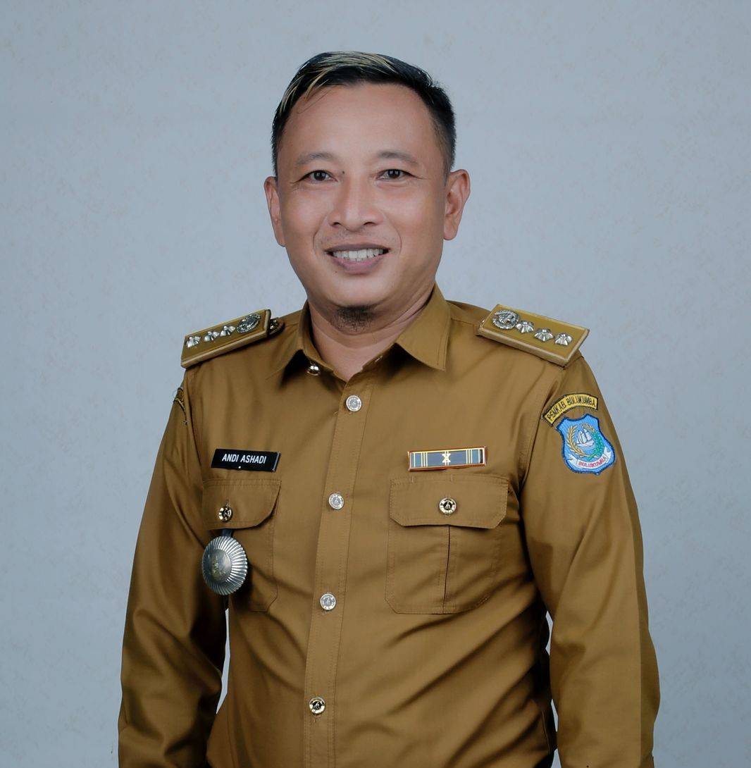 Kepala Dinas DPMPTSP